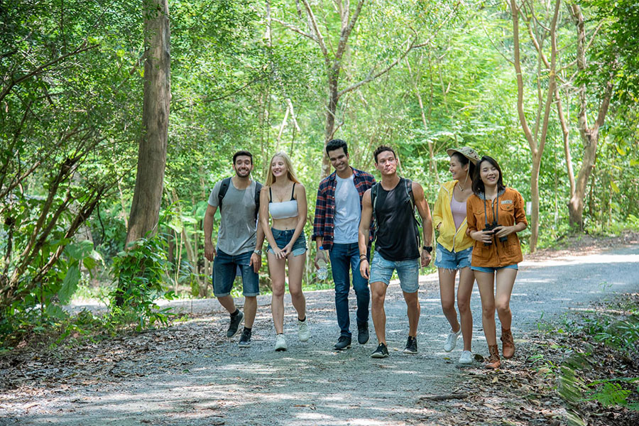 friends-are-walking-sunny-spring-woods-talking-laughing-all-are-excited-jungle-trails
