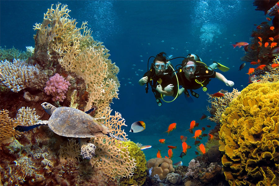 loving-couple-dives-among-corals-fishes-ocean